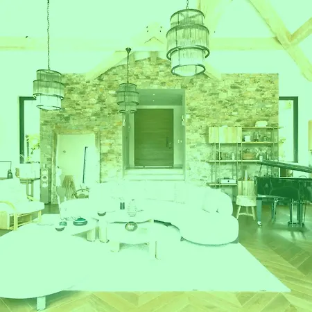 Bajina Villa *